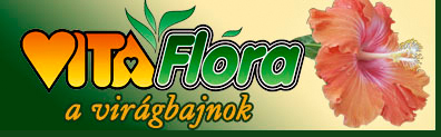 VitaFlora a virágbajnok